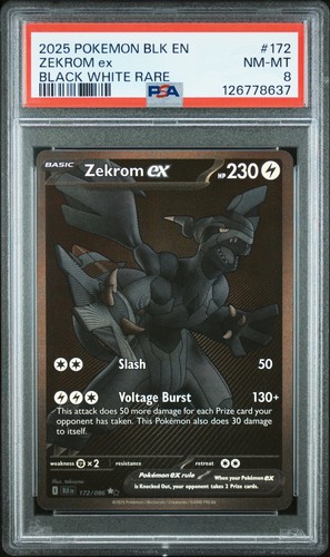 2025 pokemon nero - 2025,