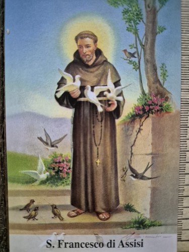 San francesco assisi - san,