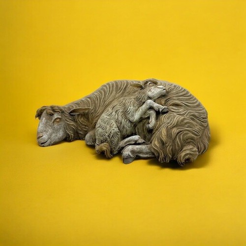 Pecora sheep animale - pecora,