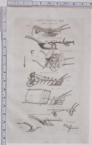 1788 antico stampa - 1788,