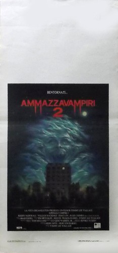Ammazzavampiri locandina - ,