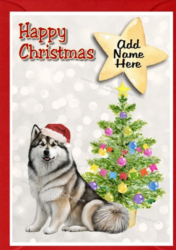 Alaskan malamute dog - dog, christmas