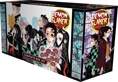 Demon slayer kimetsu yaiba - slayer,