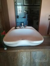 Lavatesta professionale