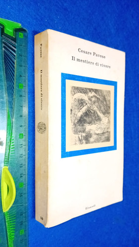 Libro mestiere di - libro,