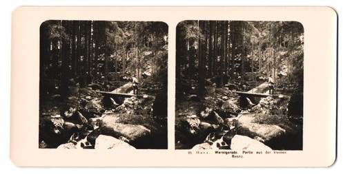 Fotografia stereo npg - stereo,