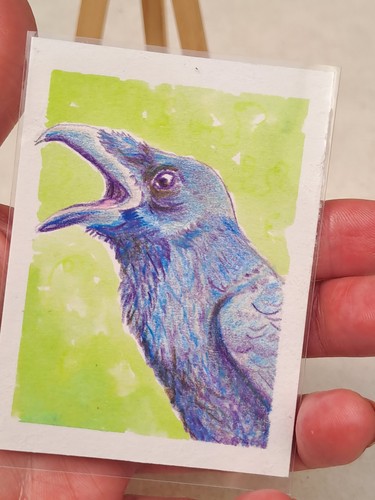 Aceo originale non una - originale,,