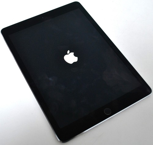 Apple ipad pro a1674 - apple, grigio