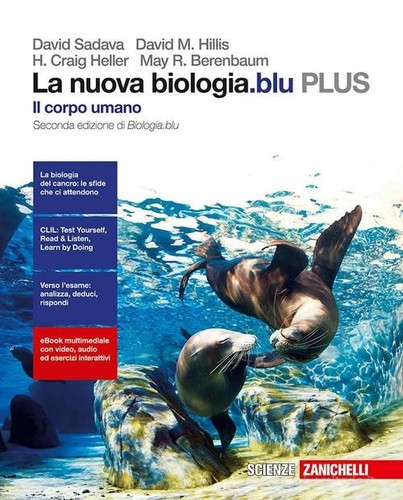 Libro usato nuova - usato,