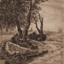 Paesaggio strada sterrata