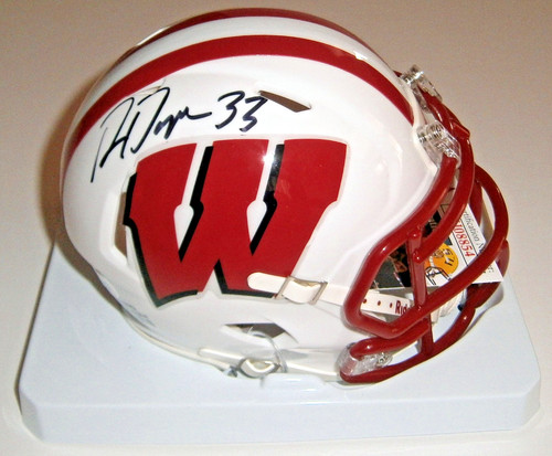 Mini casco wisconsin ron - mini,