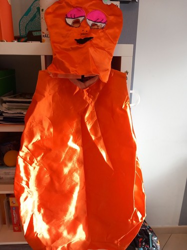 Carnevale vestito costume - costume, girl