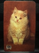 SCHEDA CARTA TELEFONICA GATTO CAT 100 UNITS 1998 COLLEZIONISMO PERSIANO AFFARE !