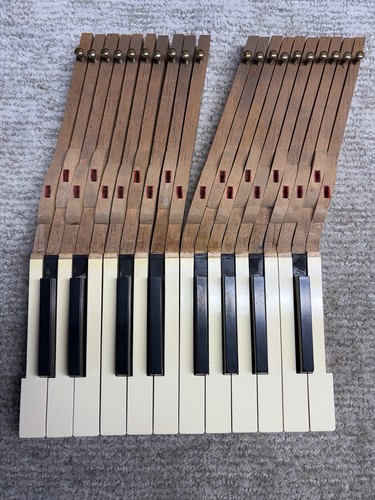 Tasti pianoforte vintage - tasti, /