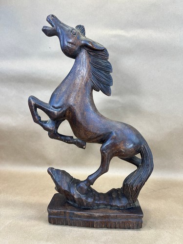 Cavallo allevamento in - allevamento,