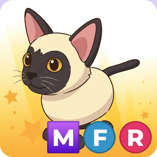 Gatto siamese mfr adotta - gatto,