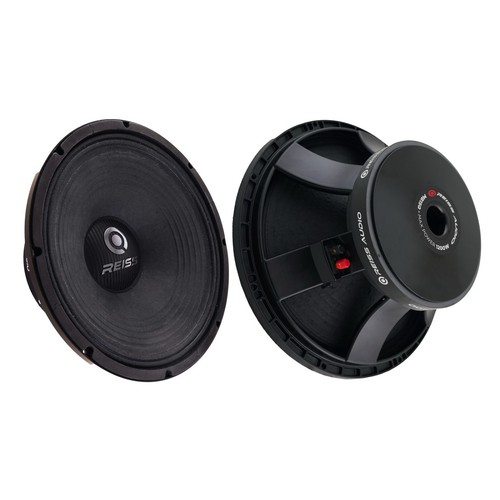 Woofer 38cm reiss audio - reiss,