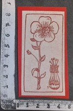 Wunderkammer exlibris 381 - 381,