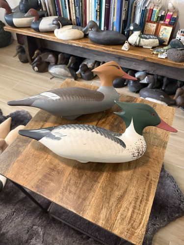 Dave walker merganser - dave,