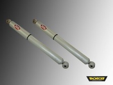 2 Ammortizzatore Posteriore