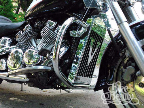 Protezione motore barre