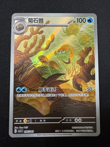 Omanyte csvl1c 096 049 - csvl1c, fuori