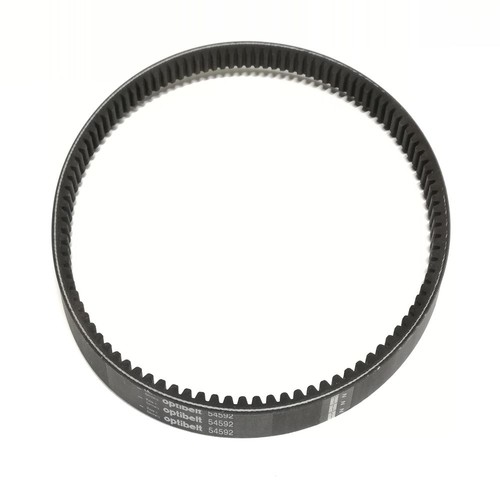 Cinghia trasmissione grillo - cinghia,