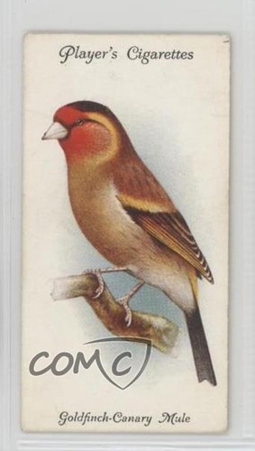 1933 giocatore aviaria - 1933, e
