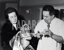 Foto Vintage Animali Cani Cocker Spaniel Cucciolo e Veterinario stampa 27x22 cm