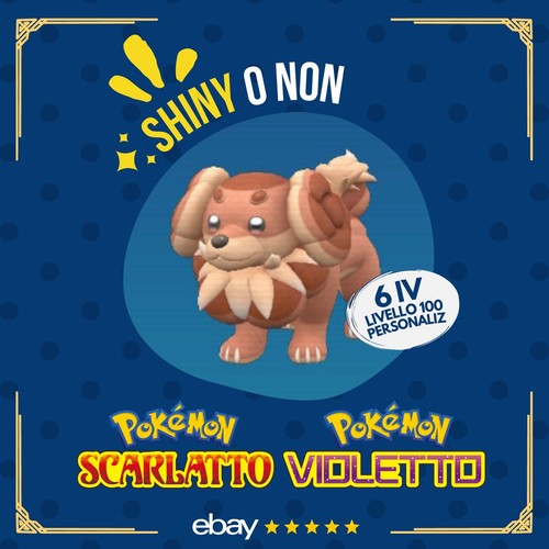 Dachsbun shiny non 6 - shiny, iv
