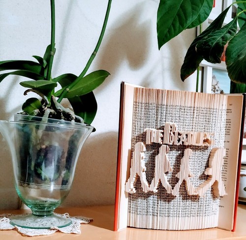 Libro piegato fatto mano - libro,