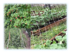 RETI ORTOFRUTTA IN NYLON