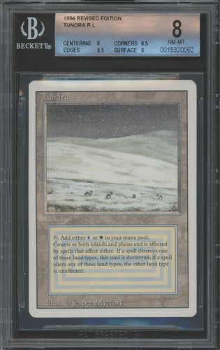 Tundra revisionata rara - tundra,