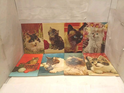 Cartoline gatti 1 - gatti,