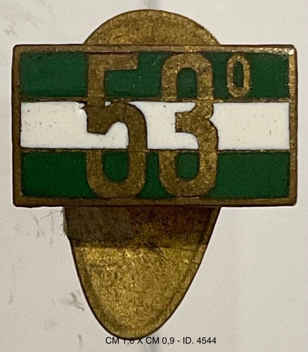 Regio esercito - esercito, 53°