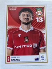 Panini efl 2025 sticker - -, 26