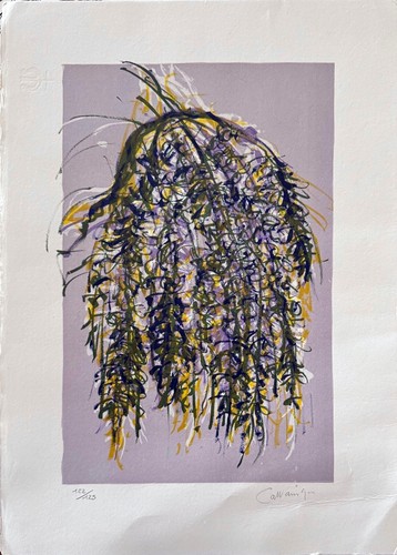 Giancarlo cazzaniga - giancarlo,