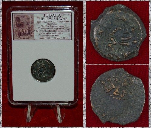Moneta antica giudea guerra - moneta,