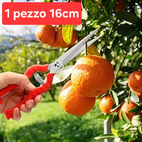 Scissors 16cm pruning leaves - scissors,