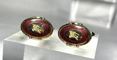 Autentici bellissimi gemelli