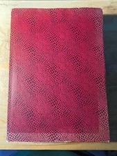 IN VOLO ALLA CONQUISTA DEL SEGRETO POLARE  NOBILE UMBERTO MONDADORI 1928 Viaggio