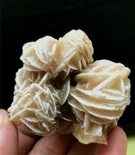 Rosa del deserto - , 5-6