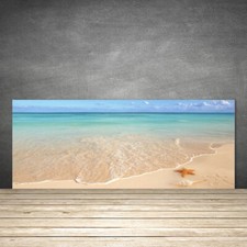 Paraschizzi da Cucina 125x50