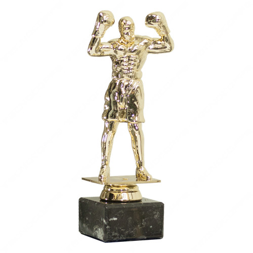 Trofeo boxe pugilato - , miglior