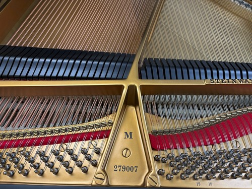 Gorgeous steinway sons model - &,