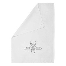 'Atlas Beetle Flying'