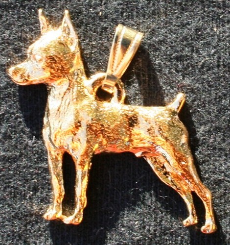 Miniatura pinscher min - miniatura,