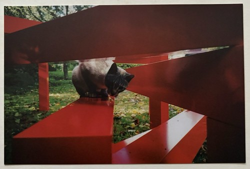 Francois morellet carton - -, d
