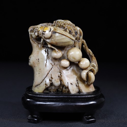 Squisita collezione shoushan - squisita,