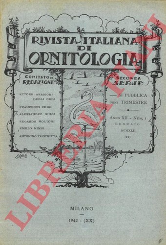 Caterini moltoni - r.i.o., (caterini,